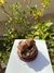MINI BROWNIE NUTELLA