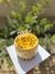 MINI MOUSSE DE MARACUYA