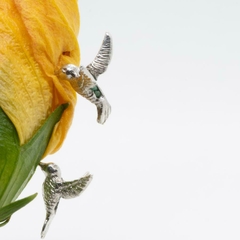 colibris - buy online