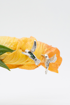 colibris on internet
