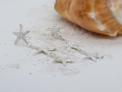 Estrellas de mar - buy online