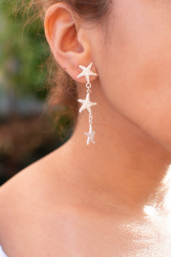 Estrellas de mar