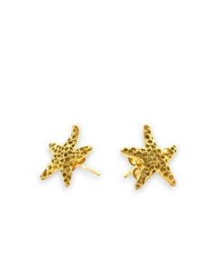 estrellas marinas on internet