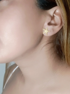 estrellas marinas - online store