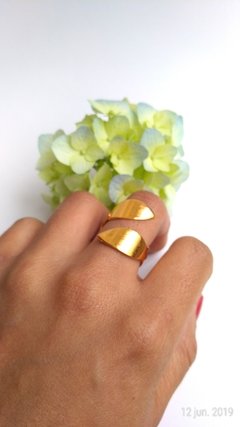 Anillo Naturaleza espiral