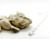 Banner of teffity