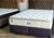 CONJUNTO SEALY COLCHAO RESISTENCE QUEEN SIZE 158X198 - Araujo Colchoes