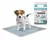 Absorbente sanitario Can Cat x7 - comprar online