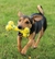 Zeus Nitro Hueso Flexible - comprar online