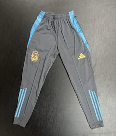 Conjunto Entrenamiento Argentina 2024 Buzo y Chupin - tienda online
