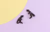 Aretes T rex