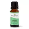Rosemary essential oil