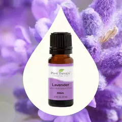 Lavander essential oil - buy online