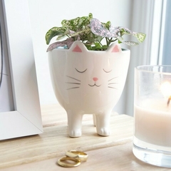 Matera Gatito de pie - comprar online