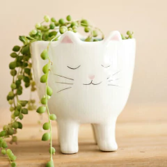 Cat planter