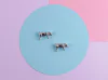 Aretes Babe Oink
