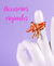 Slider image Maria Fortunata Design