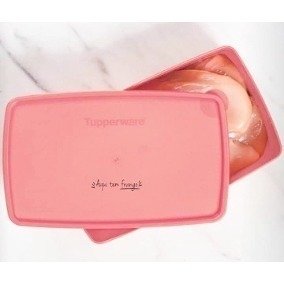 Tupperware Caixa Ideal 1,4 Litros Linha Freezer