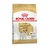 ROYAL CANIN PERRO JACK RUSSELL ADULTO