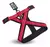PECHERA ARNES PERRO ACOLCHONADO PREMIUM RASCALS - tienda online