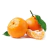 MEXERICA DO RIO MUDAS DE FRUTAS CITRICAS. - comprar online