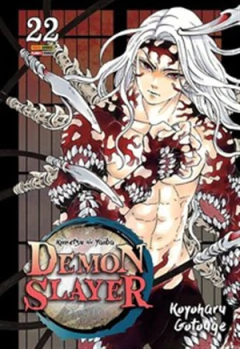 DEMON SLAYER - VOL 22
