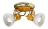 Plafon 2 Luces Dorado Con Madera Roble Tulipa Vidrio Cx