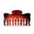 BROCHE 6cm - CAREY - comprar online