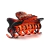 BROCHE 6cm - CAREY