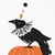 Servilleta Halloween Crow x 16 und - comprar online