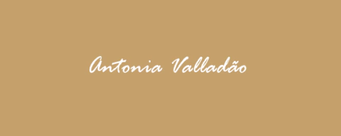 LOJA ANTONIA VALLADÃO