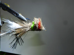 Rana invertida (mosca) en internet