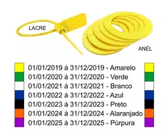 RECARGA DE EXTINTOR DE INCÊNDIO BC 12 KG PÓ VALIDADE 1 ANO > Descrição do Serviço - comprar online