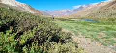 Cabalgata al Milagro de los Andes-Avion de los Uruguayos - Mendoza en internet