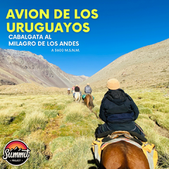 Cabalgata al Milagro de los Andes-Avion de los Uruguayos - Mendoza - comprar online