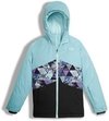 Jaqueta The North Face Brianna