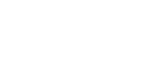 Pinz