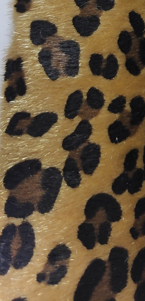 Lonita Animal Print