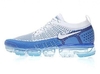VApor max 2.0