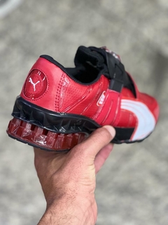 Puma disc na internet
