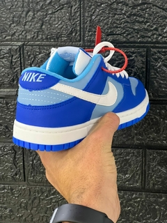 Nike Dunk na internet