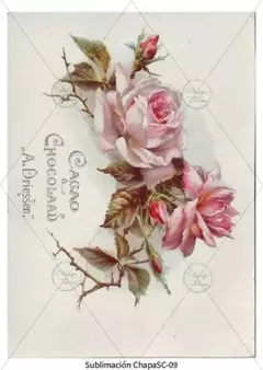 Laminas Sublimación - Colección SC - A lo Rabal, tienda creativa 