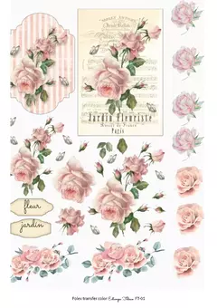 Folex transfer color - TF en internet