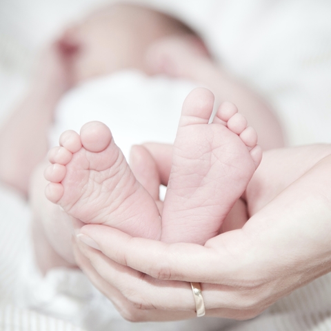 Instauración/Mejora - procesos de atención humanizada para personal sanitario/ centros de salud: Asesoría legal