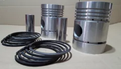 Subconjunto Pistones Aros Y Pernos Zetor 25 Tractor 2 Cil / Pistons with rings and pins Zetor 25 Tractor 2 cyl. - loja online