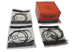 Aros De Piston Nsu Prinz 2 Cilindros Juego Rectificacion - loja online