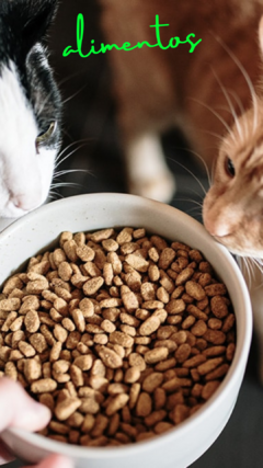 Banner de la categoría Alimentos