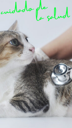 Banner de la categoría Cuidado de la salud