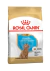 Royal canin dog breed - caniche puppy (1kg)