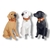 Parlante Bt Portátil Forma de Perro Labrador (S) - tienda online
